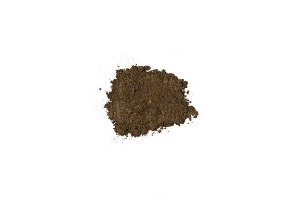 Pigment 1461 - Image 2