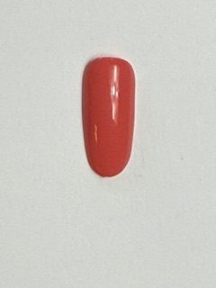 I AM...SHAMELESS- HEMA FREE GEL POLISH