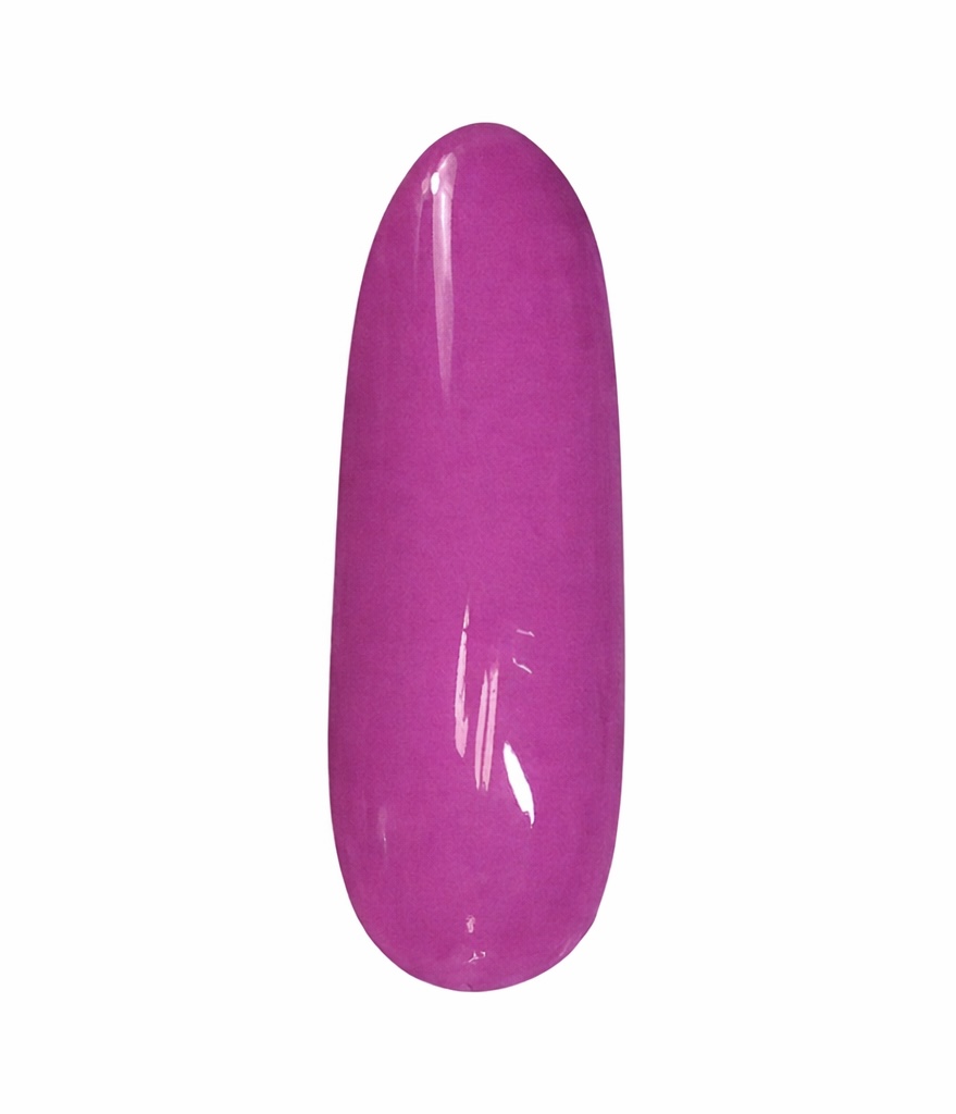 TAKE ME TO CABO-12 PIECE COLLECTION - Image 17