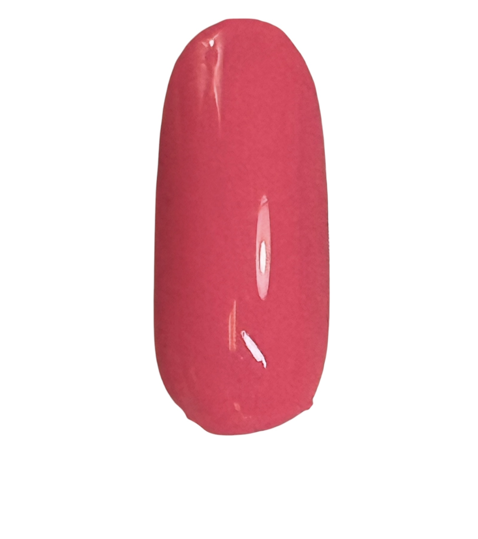 TAKE ME TO CABO-12 PIECE COLLECTION - Image 15