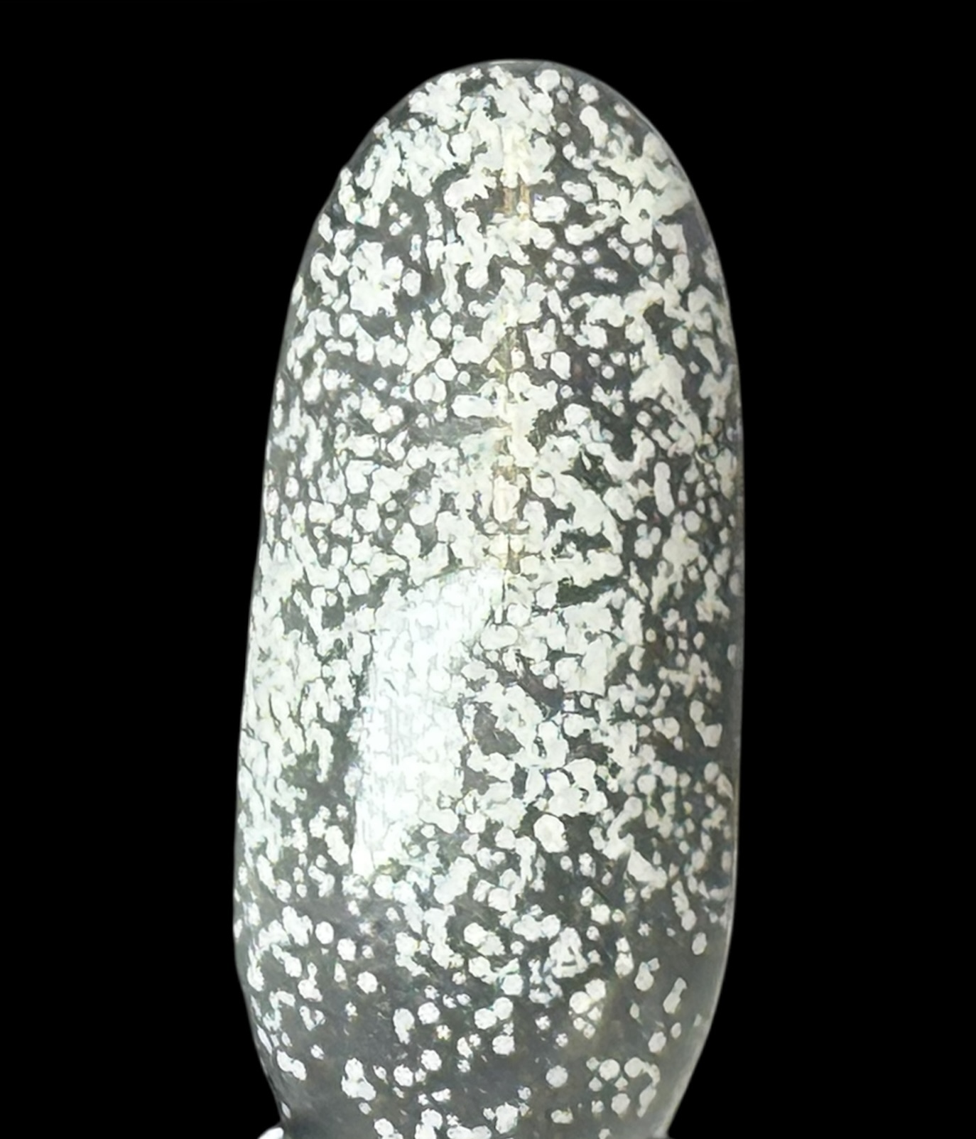 TAKE ME TO CABO-12 PIECE COLLECTION - Image 26